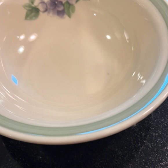 Soup/Cereal Bowl Garden Party (Garden Impressions) by PFALTZGRAFF - Set of 2 - Picture 3 of 6